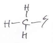 Fettsyrors metylände Omega