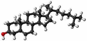 Kolesterolmolekylens uppbyggnad som stick and ball. Den hydrofila OH-änden till vänster.